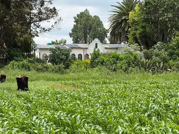 Commercial Property for Sale in Swartruggens North West